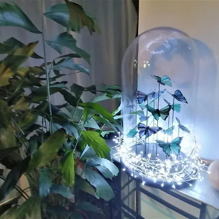 La Cabane Des Fées De La Forêt * Aywaille